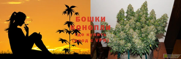 молекула духа Лиски