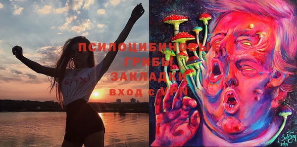 спайс Липки