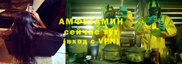 молекула духа Лиски